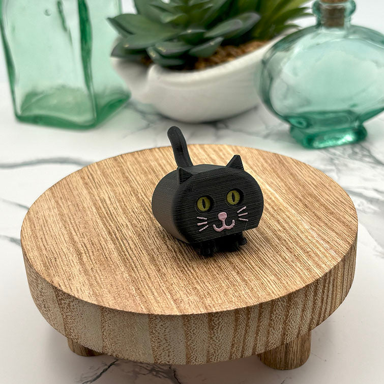 Sleepy Cat Fidgets