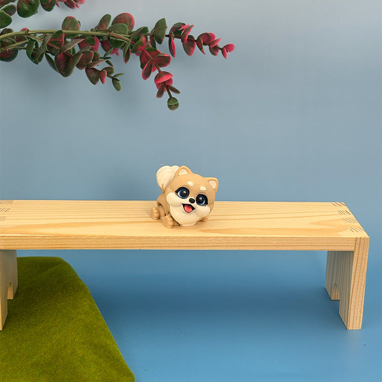 Pomeranian Puppy Pals