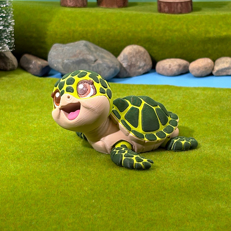 Shelly the Sea Turtle