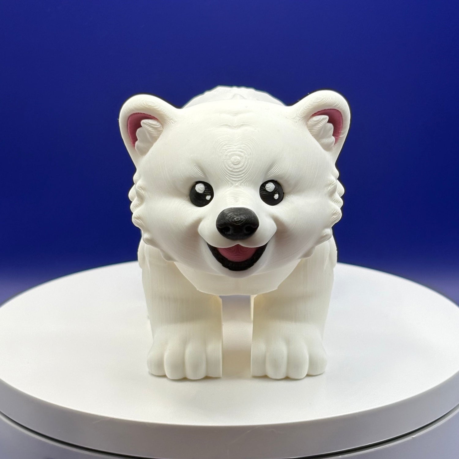Polar Pals