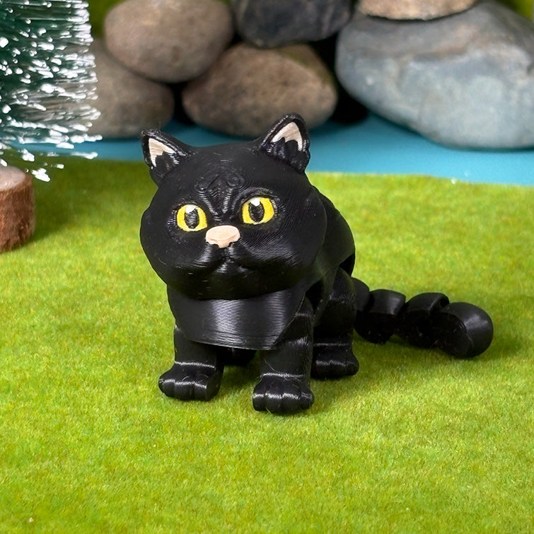 Kitty Cat Collection - Classic Coats Edition