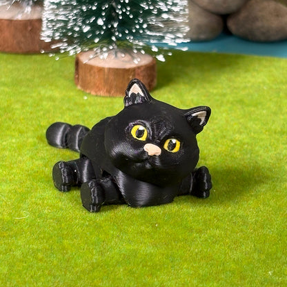 Kitty Cat Collection - Classic Coats Edition