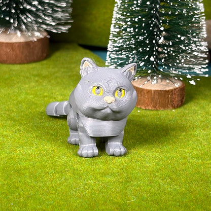 Kitty Cat Collection - Classic Coats Edition