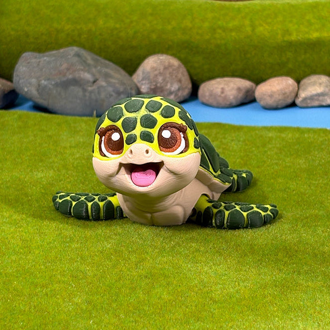 Shelly the Sea Turtle
