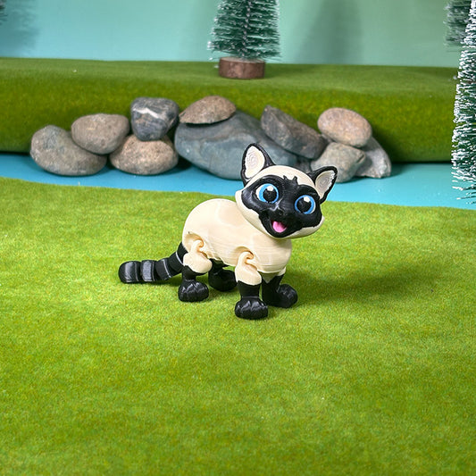 Mocha the Siamese Cat