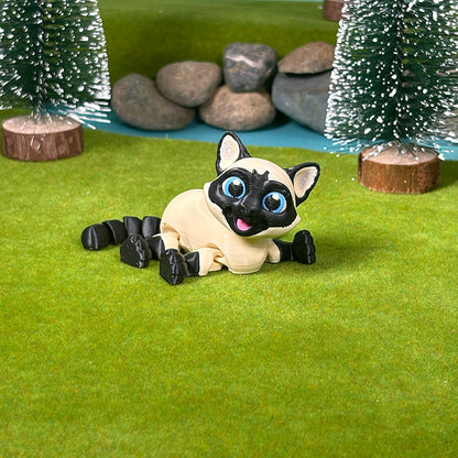 Mocha the Siamese Cat