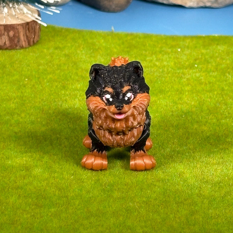 Teacup Pomeranian Puppy Pals – Orange & Sable Pomeranian Duo, Cute Dog Figurines, 3D Printed Gift